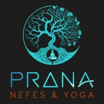 Download PRANA NEFES VE YOGA app