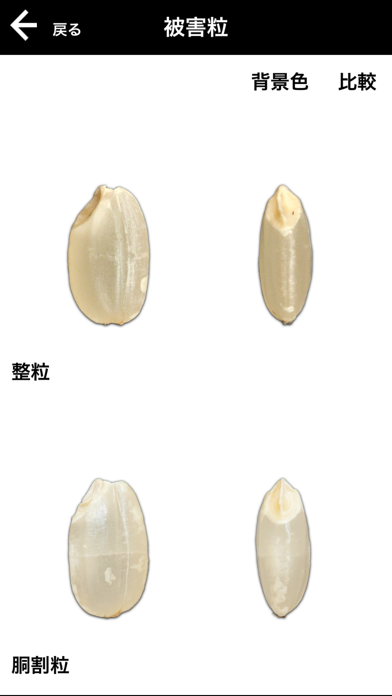 被害粒等限界基準品のおすすめ画像5