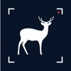 Wildlife Cam Pro icon