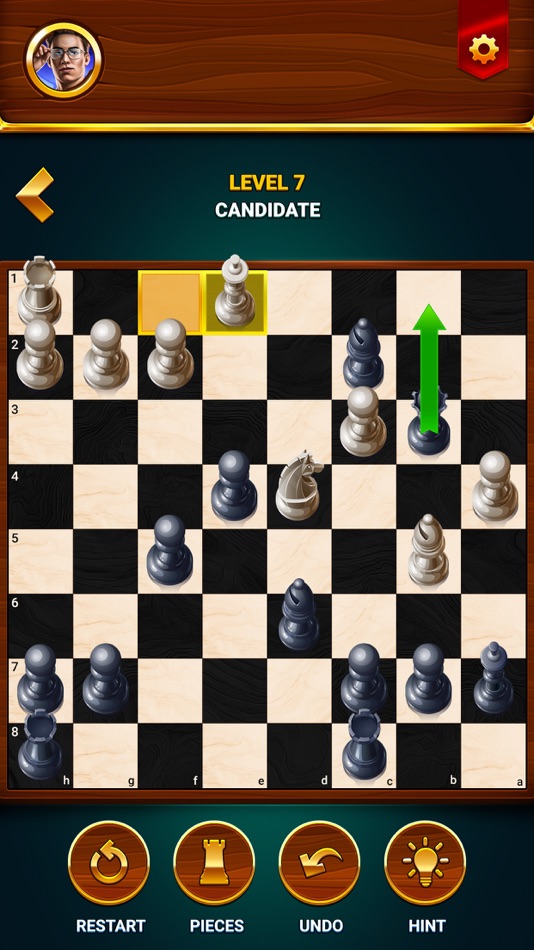 #5. Chess - Offline Board Game (iOS) 由: GamoVation