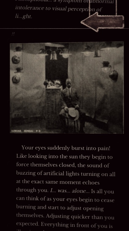 Seul.(Alone) The entrée - CYOA screenshot-3