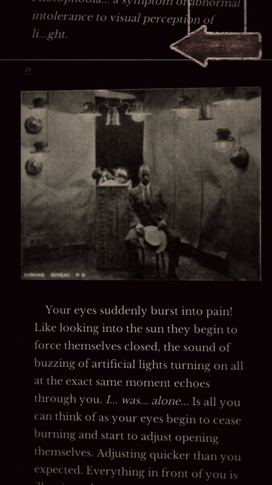 #4. Seul.(Alone) The entrée - CYOA (iOS) By: Steven Koutsouliotas
