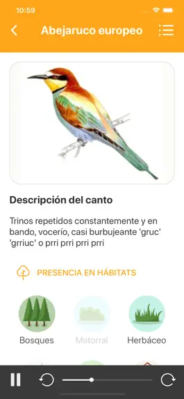 Game screenshot Avefy - SEOBirdlife hack