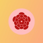 Exquisite Mooncake