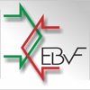 Servizi EBVF icon