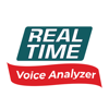 Real Time Voice Analyzer - Real Time Products
