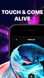 live wallpaper & wallpapers hd problems & solutions and troubleshooting guide - 1
