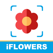 iFlowers - Plant identifier