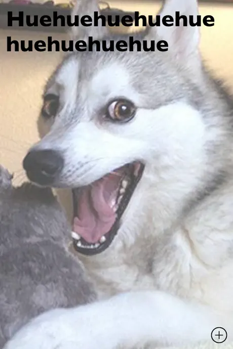 PunHusky Comedy Club