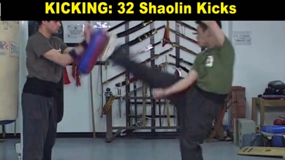 Shaolin Kung Fu Fundamental Screenshot