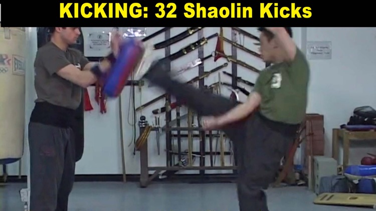 Shaolin Kung Fu Fundamental screenshot-4