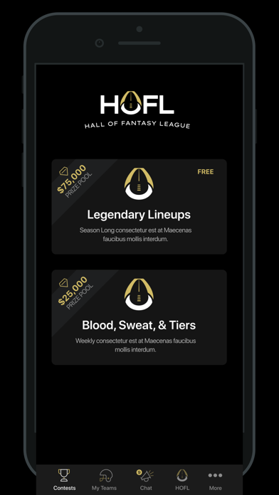 Hall of Fantasy League Screenshot