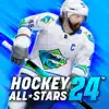 Hockey All Stars 24 problems & troubleshooting and solutions