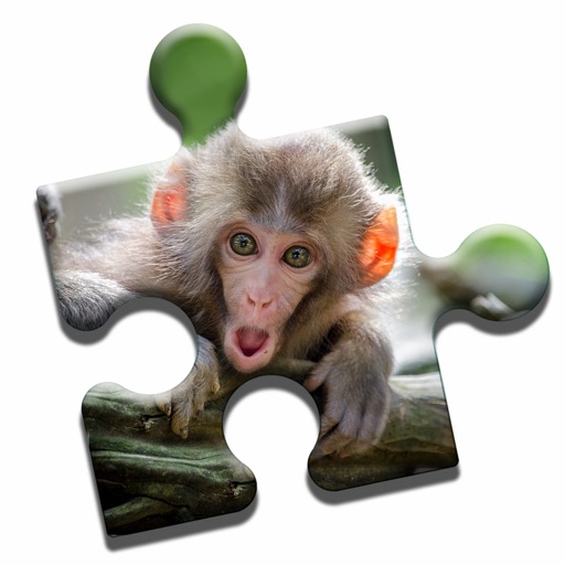 Monkey Love Puzzle icon