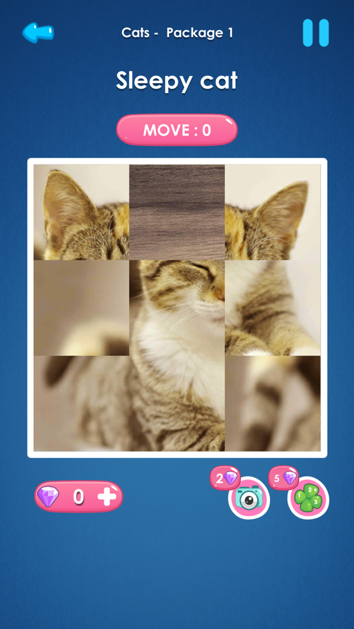 Slide Picture  Jigsaw Puzzle