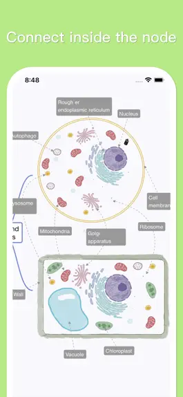 Game screenshot MindSpace - Mind Map hack