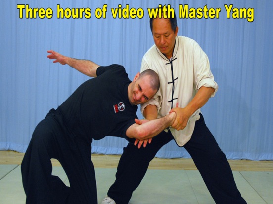 Screenshot #4 pour Tai Chi Martial Applications