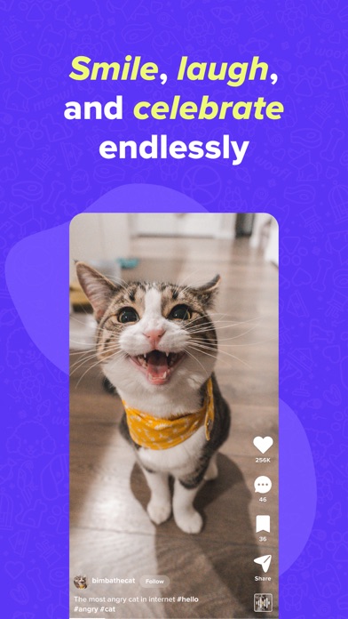 Zoomie - Animal Short Videos Screenshot
