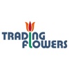 Trading Flowers icon