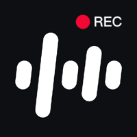 录音专家 - 录音转文字精准识别翻译专家