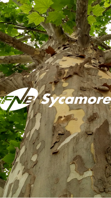 First National Bank Sycamore Screenshot