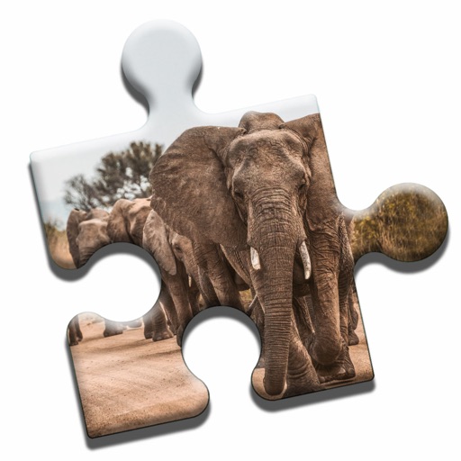 Safari Jigsaw Puzzle