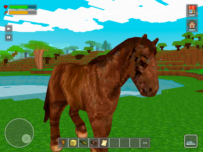 Craft World 3D Sandbox Games