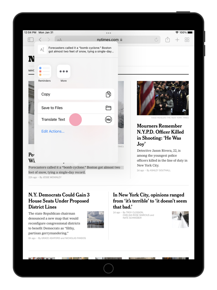 Translator  Safari Extension