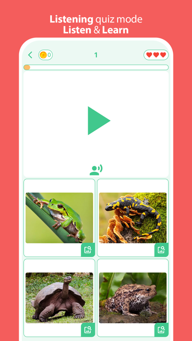 Animals: 4 Pics & Word Quiz Screenshot