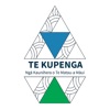 Te Kupenga – Te Matau a Māui icon