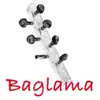 Baglama Tuner - Bağlama problems & troubleshooting and solutions