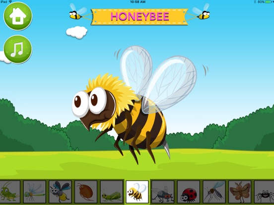 Screenshot #5 pour Learn about Insects