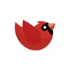 Little Bird App icon