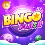 Bingo Flash: Win Real Cash app download