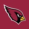 Icon Arizona Cardinals Mobile