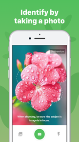 Plant Identification ++ screenshot