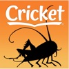 Cricket Mag: Literature & Art - iPadアプリ