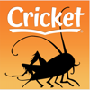 Cricket Mag: Literature & Art - Cricket Magazine Group & Ethervision