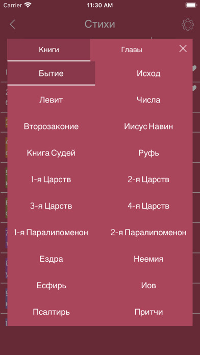 Russian Bible Offline Screenshot
