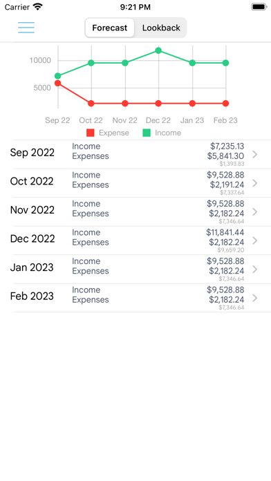 HomeBudget Lite (w/ Sync) Screenshot