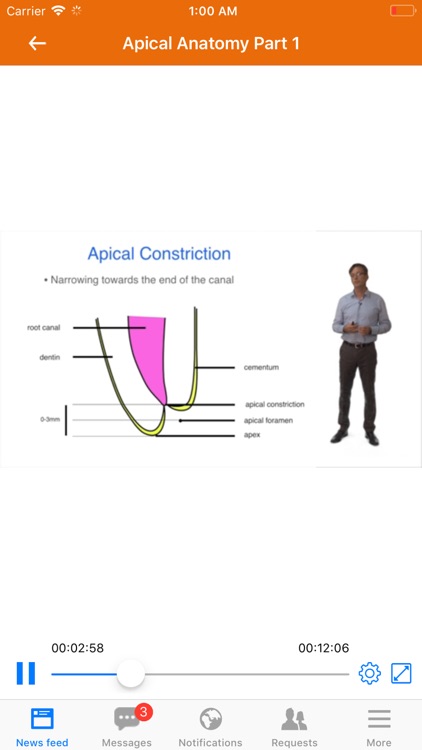 Endolit screenshot-3