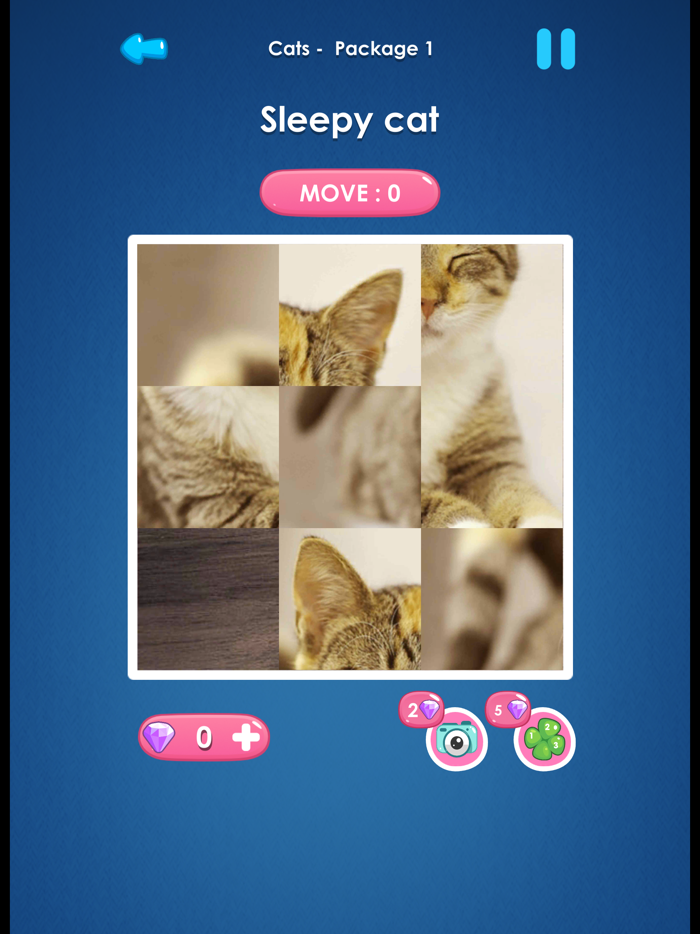 Slide Picture  Jigsaw Puzzle