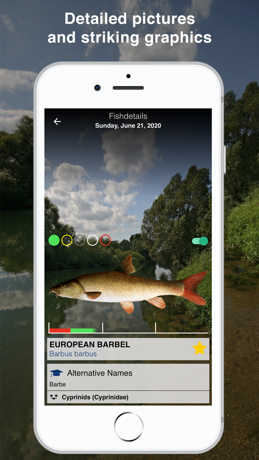 #3. Fishguide Hessia (iOS) 由: Robin Schaefer