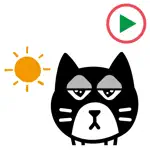 Maru Cat 1 Animation Sticker App Contact