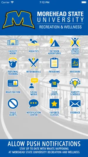 MSU REC screenshot 1