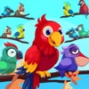 Bird Sort Puzzle-Pop Sort Game icon