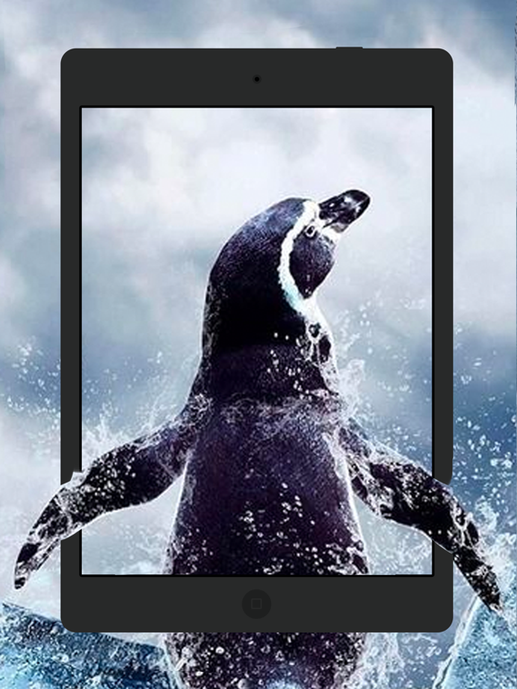 Live Wallpaper 4K: Screen Life iPad screenshot 5 - Lifestyle app
