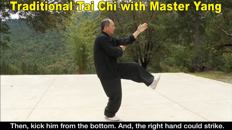 Yang Tai Chi for Beginners 2&3