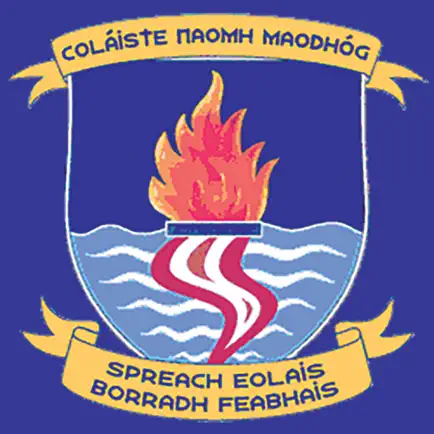 St Mogue’s College Читы