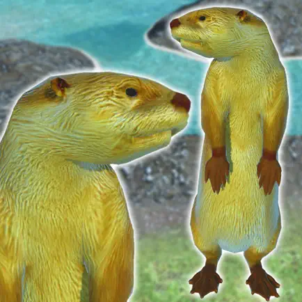 Otter Friends Читы